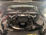 Load image into Gallery viewer, EZT Audi B9 2.9T S4/S5/RS5 TFSI Carbon Fiber Engine Covers